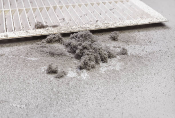 Best HVAC Duct Inspection Services  in Madison, FL