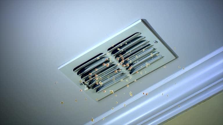 Best Commercial Air Duct Cleaning  in Madison, FL